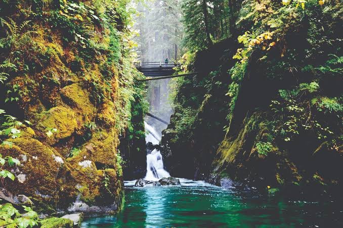 Parque Nacional Olympic (Washington)